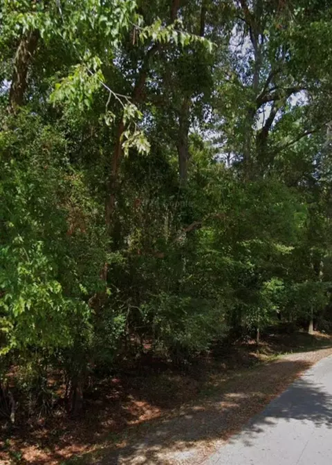 0 Northshore Dr, Houston, TX 77339