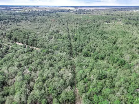 0 Bo Brown Rd, Trinity, TX 75862 photo 9
