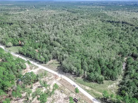 0 Bo Brown Rd, Trinity, TX 75862 photo 15