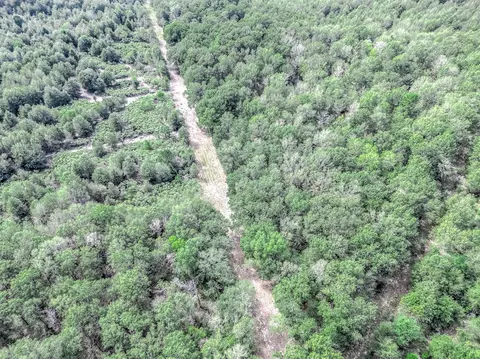0 Bo Brown Rd, Trinity, TX 75862 photo 11