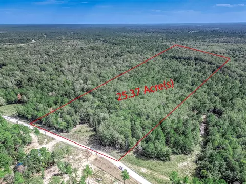 0 Bo Brown Rd, Trinity, TX 75862 photo 14