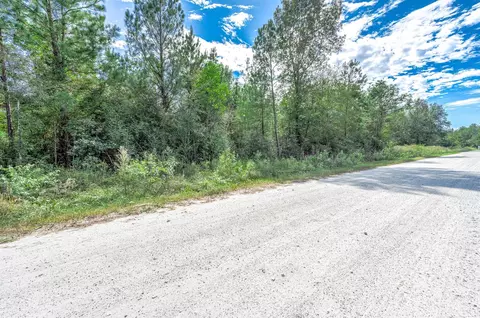 0 Bo Brown Rd, Trinity, TX 75862 photo 3