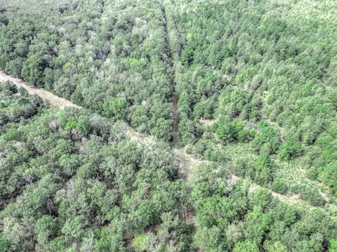 0 Bo Brown Rd, Trinity, TX 75862 photo 10