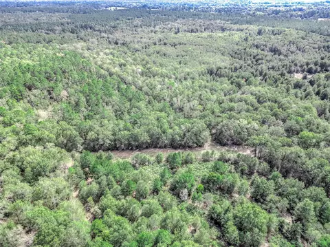 0 Bo Brown Rd, Trinity, TX 75862 photo 8