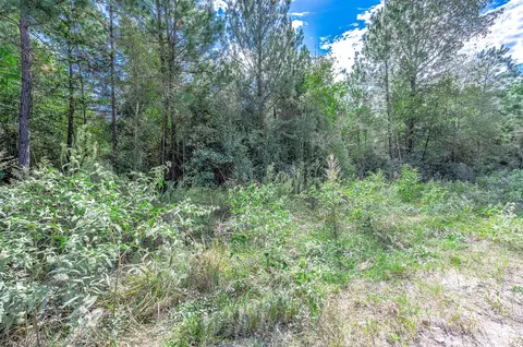 0 Bo Brown Rd, Trinity, TX 75862 photo 4