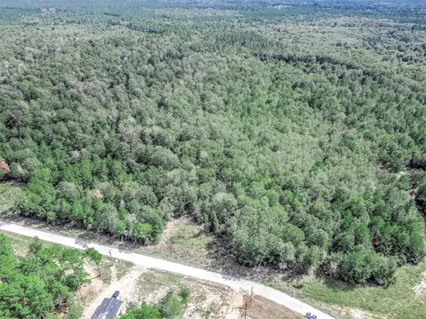 0 Bo Brown Rd, Trinity, TX 75862 photo 16