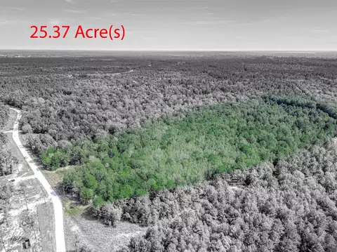 0 Bo Brown Rd, Trinity, TX 75862 photo 6