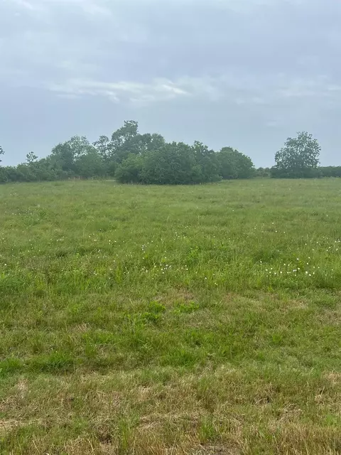 6180 County Road 208, Danbury, TX 77534