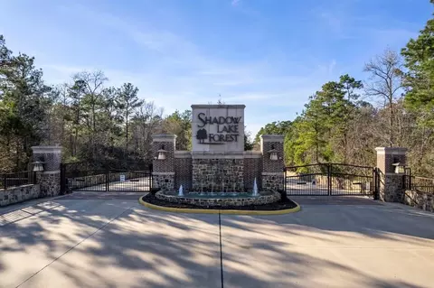 11017 Shadow View Dr, Conroe, TX 77304 photo 1