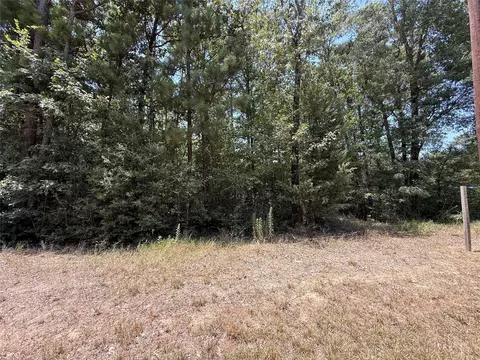 13 Quailcrest, Livingston, TX 77351