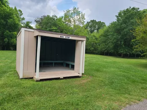 Exterior - 40 Pine Shadows Ln, Coldspring, TX 77331 photo 10 of 14