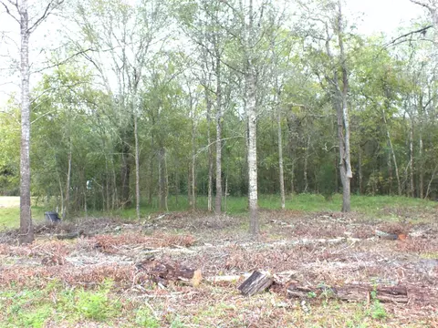 0 Patricia Lane Cr 377, Alvin, TX 77511
