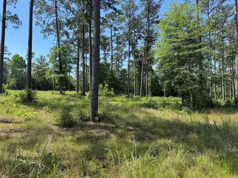 006 Private Road 6028 Tract 1-6, Brookeland, TX 75931