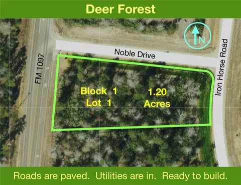 109 Noble Dr, New Waverly, TX 77358