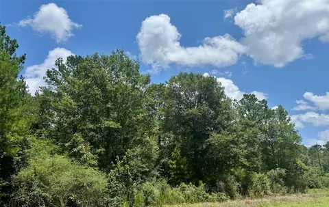 tbd Riverstone Dr, Livingston, TX 77351