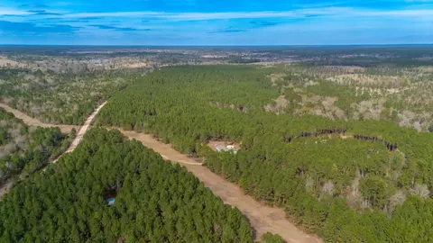 View/Area - 2265 Kickapoo Rd, Groveton, TX 75845 photo 4 of 5