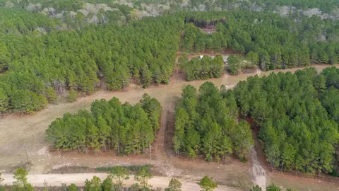 View/Area - 2265 Kickapoo Rd, Groveton, TX 75845 photo 5 of 5