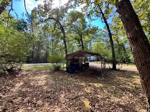 Exterior - 1347 Cardinal Ln, Trinity, TX 75862 photo 4 of 10