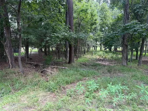 219 Brook Hollow Dr, Huntsville, TX 77340