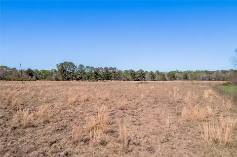 Other - 1533 Kickapoo Rd, Groveton, TX 75845 photo 9 of 14
