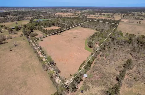 View/Area - 1533 Kickapoo Rd, Groveton, TX 75845 photo 5 of 5