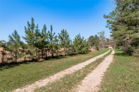 Other - 1533 Kickapoo Rd, Groveton, TX 75845 photo 6 of 14