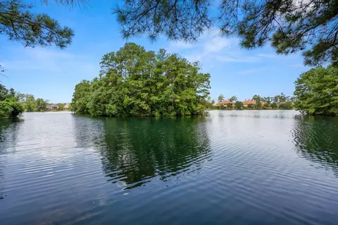 View/Area - 10410 Pitcataway Dr, Spring, TX 77379 photo 7 of 9
