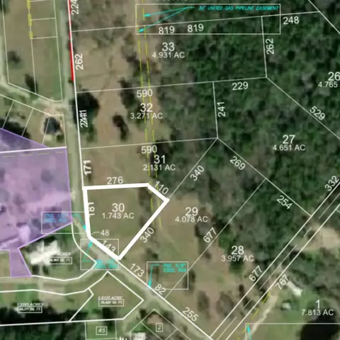 lot30 Lake Livingston Ln, Trinity, TX 75862