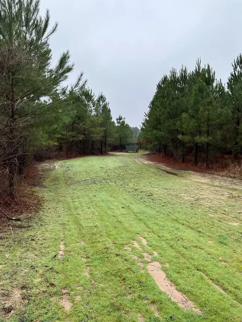 Buck Bay Private Rd Off Fm1751, Bronson, TX 75930