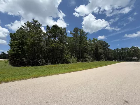 93-23 11 Sanctuary Rd, Huntsville, TX 77340