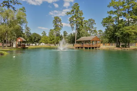 View/Area - 6107 Craigway Rd, Spring, TX 77389 photo 10 of 12
