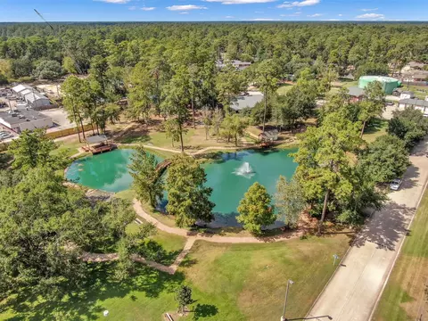 View/Area - 6107 Craigway Rd, Spring, TX 77389 photo 8 of 12