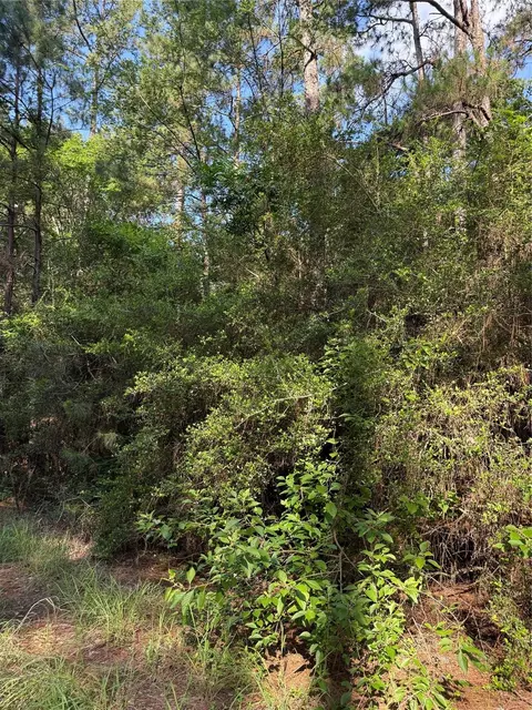 tbd Timberwood Ln, Navasota, TX 77868
