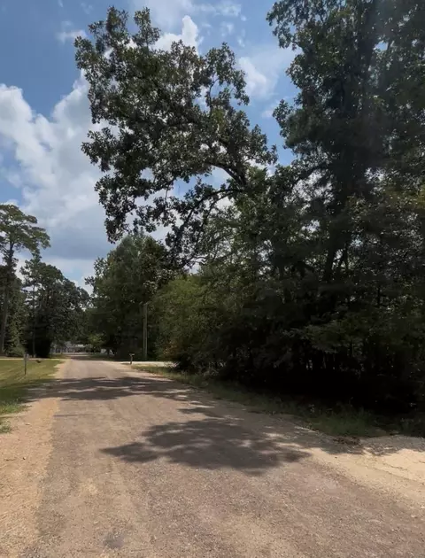 tbd Mistletoe, Onalaska, TX 77360 photo 3