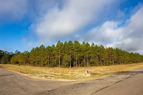 16326 Ridge Oak Rd, Willis, TX 77378