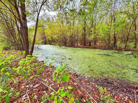 Other - tbd Cr 155, Centerville, TX 75833 photo 5 of 33