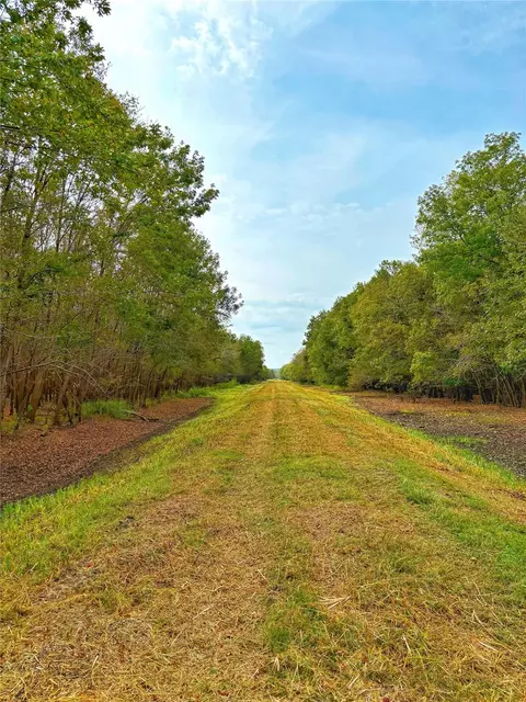 Other - tbd Cr 155, Centerville, TX 75833 photo 9 of 33