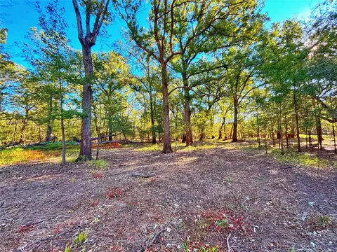Exterior - tbd Cr 155, Centerville, TX 75833 photo 2 of 5
