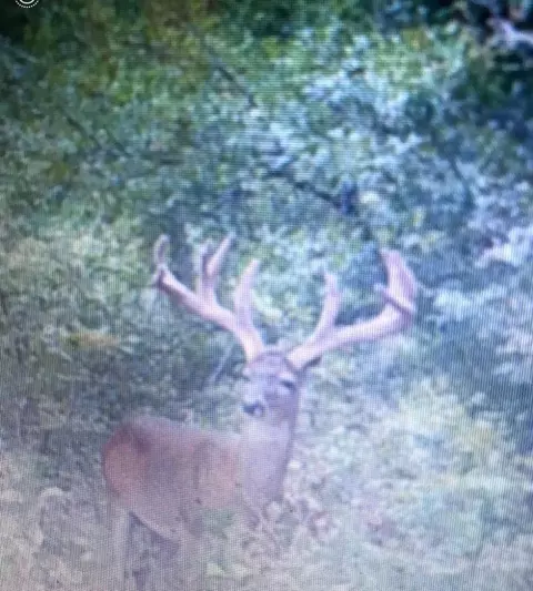 Other - tbd Cr 155, Centerville, TX 75833 photo 28 of 33