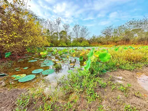 Other - tbd Cr 155, Centerville, TX 75833 photo 17 of 33