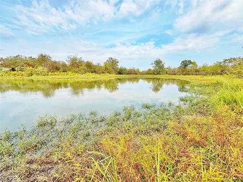 View/Area - tbd Cr 155, Centerville, TX 75833 photo 6 of 12