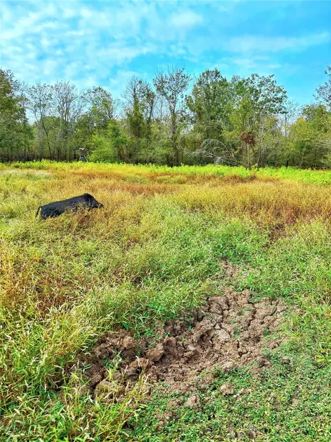 Other - tbd Cr 155, Centerville, TX 75833 photo 18 of 33