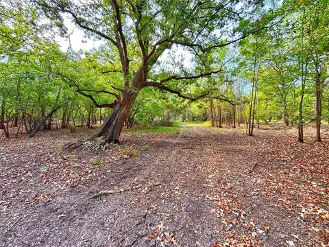 Exterior - tbd Cr 155, Centerville, TX 75833 photo 3 of 5