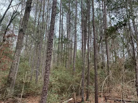 tbd Baxter Rd, Livingston, TX 77351