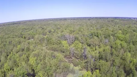 tbd Fm 71 E, Talco, TX 75487