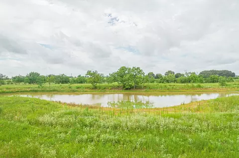 View/Area - 15 Acres Bernardo Rd, Cat Spring, TX 78933 photo 1 of 1