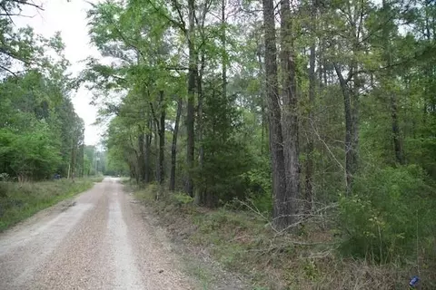 258 Hearne Rd, Corrigan, TX 75939