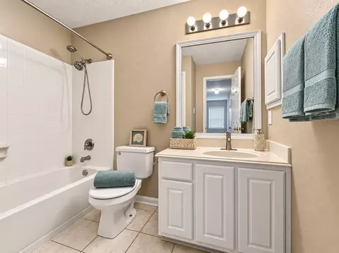 Bath - 38 Scotch Pine Ct, Spring, TX 77382 photo 6 of 6