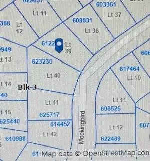 000 Mockingbird, Normangee, TX 77871