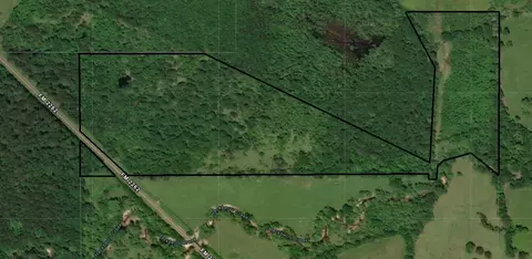 0 W Fm 2262, Apple Springs, TX 75926